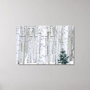 Toile Forêt nationale de Manti-LaSal, Utah