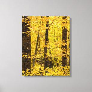 Toile Forêt nationale de Pisgah en automne