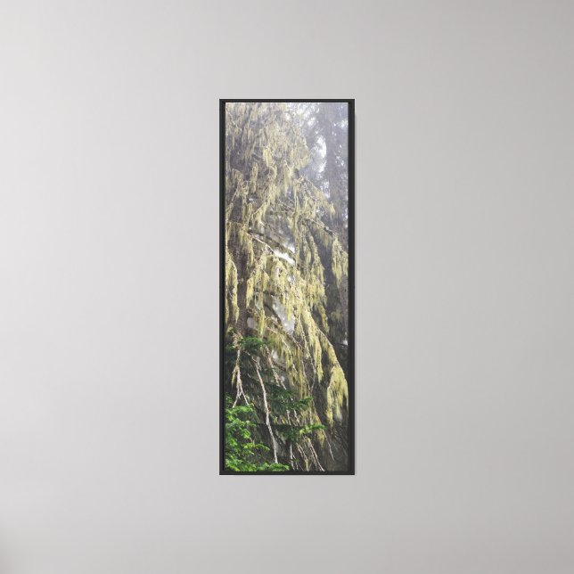 Toile Forêt Nature (Recto)