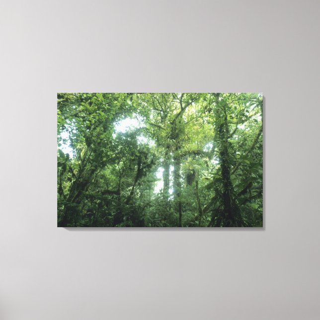 Toile Forêt nuageuse de Monteverde, Costa Rica. (Recto)