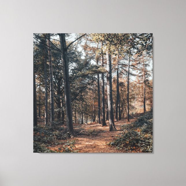 Toile Forêt panoramique relaxante (Recto)