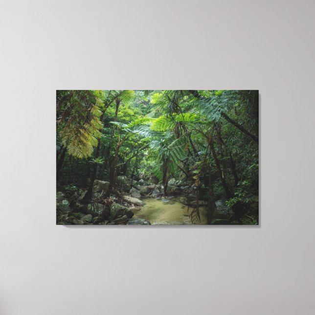 Toile Forêt | Parc national Iriomote Ishigaki (Recto)