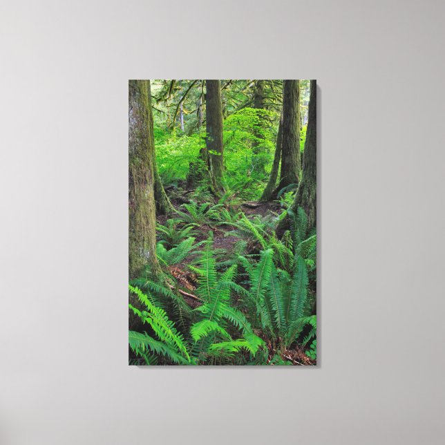 Toile Forêt Scénique Verte Luxuriante (Recto)