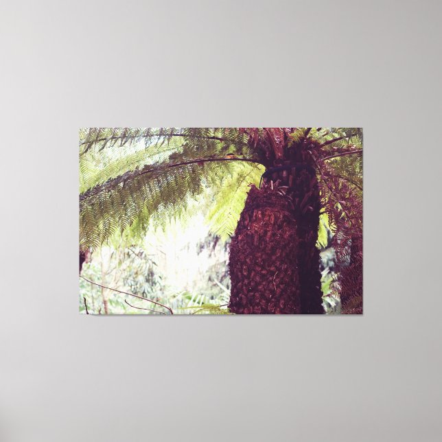 Toile Forêt tropicale de Fern (Recto)