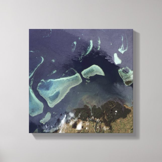 Toile Forêt verte profonde sur terre (Recto)