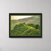 Forêt Verte Sur La Colline