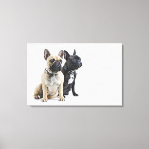 Toile Formation et obéissance de chien
