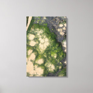 Toile Formation rocheuse de grès avec de la mousse vert 