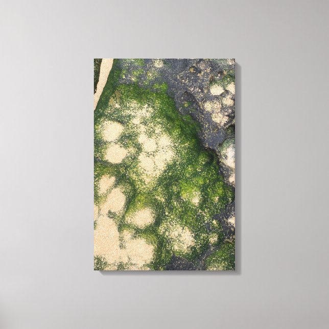Toile Formation rocheuse de grès avec de la mousse vert  (Recto)