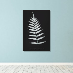 Toile Fougère - Polypodyum Fraxinifolium - Effet de radi