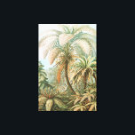 Toile Fougères, Filicinae Laubfarne par Ernst Haeckel<br><div class="desc">Fougères,  Filicinae Laubfarne par Ernst Haeckel Impression sur toile</div>
