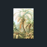 Toile Fougères, Filicinae Laubfarne par Ernst Haeckel<br><div class="desc">Fougères, Filicinae Laubfarne par Ernst Haeckel Impression sur toile</div>