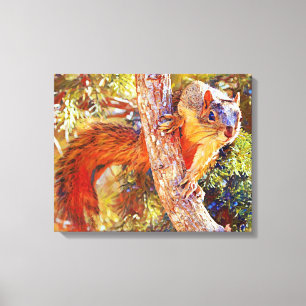 Toile Fox Squirrel Fermer l'art photographique Imprimer