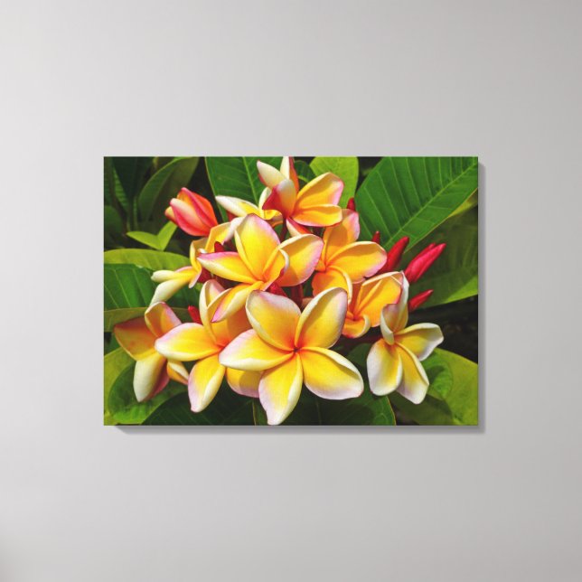 Toile Frangipani hawaïen (Recto)