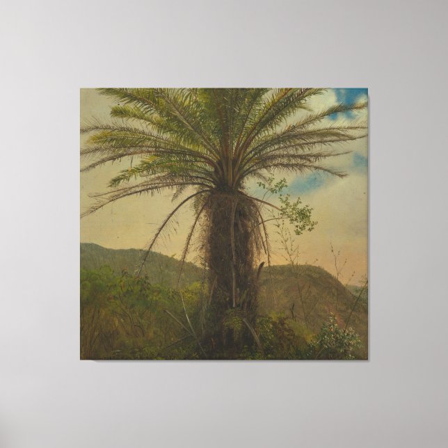 Toile Frederic Edwin Church - Fougère arborescente, Jama (Recto)