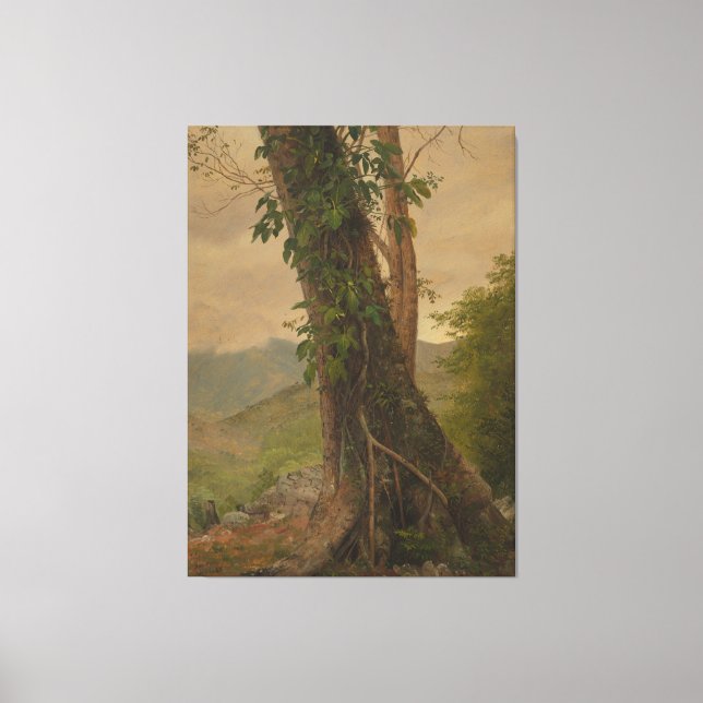 Toile Frederic Edwin Church - Tronc d'arbre (Recto)