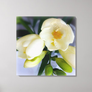 Toile frénésie jaune blanc