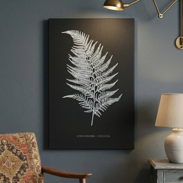 Toile Frondes de fougère ocre, Gymnogramma Ochracea (Ochre Fern Frond, Gymnogramma Ochracea. Canvas Print)