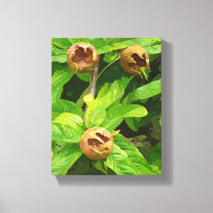 TOILE FRUIT MODLAIRE