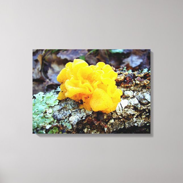 Toile Fungi Tremella Mesenterica Canvas Imprimer (Recto)
