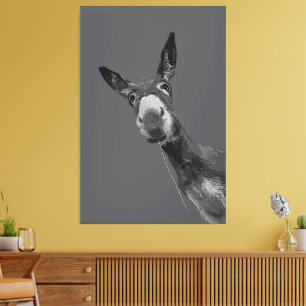 Toile Funky Donkey Grayscale Art