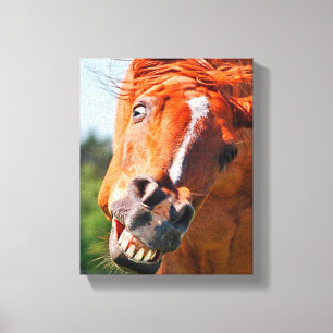 Toile Funny Horse Rire Photographie