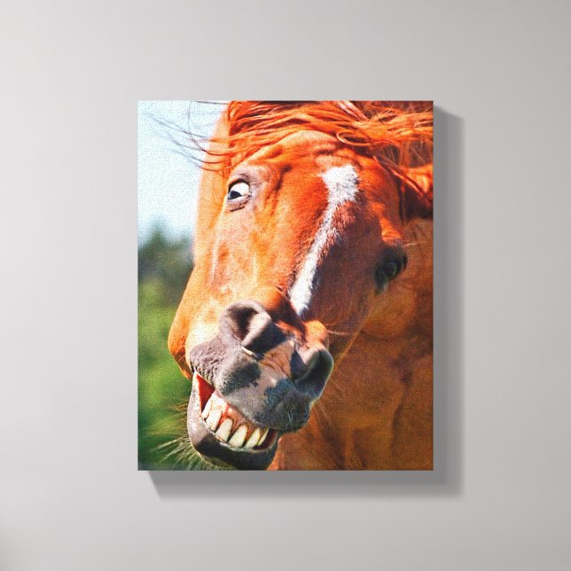 Toile Funny Horse Rire Photographie (Recto)