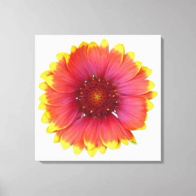 Toile Gaillardia 1 (Recto)