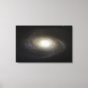 Toile Galaxie en spirale M81