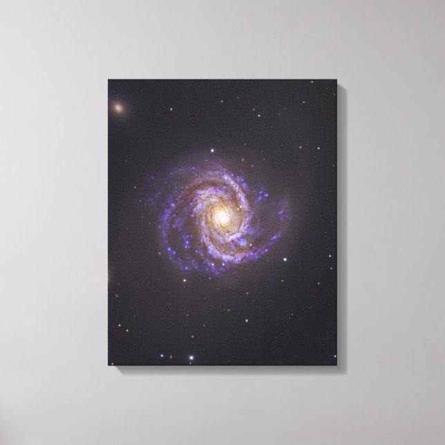 Toile Galaxie spirale M100 et Supernova SN2006X (Recto)