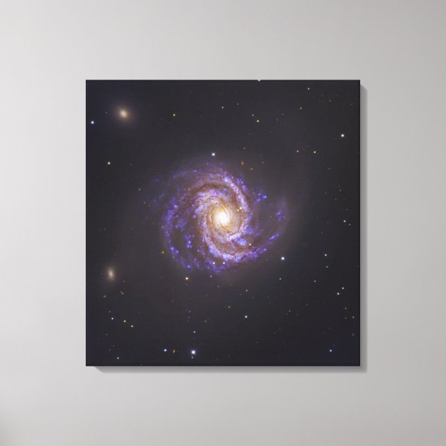 Toile Galaxie spirale M100 et Supernova SN2006X (Recto)