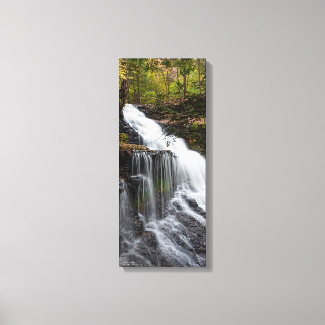 Toile Ganoga Falls 10 po x 24 po x 75 po (Recto)