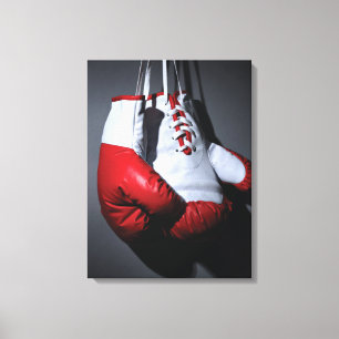 Toile gants de boxe