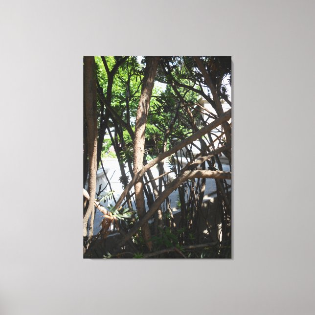 Toile "Gaye Elise Beda", "New York City, NYC" Gramercy P