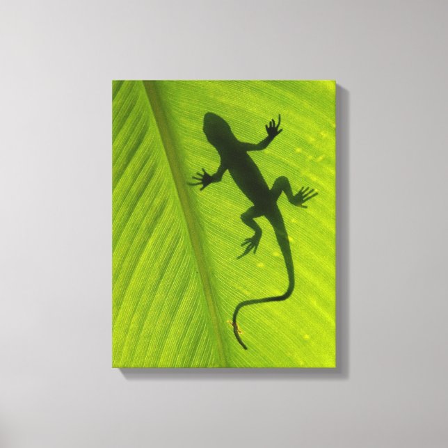 Toile Gecko Silhouette (Recto)