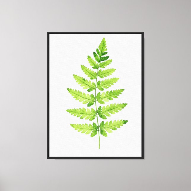 Toile Genre Dryopteris (Recto)