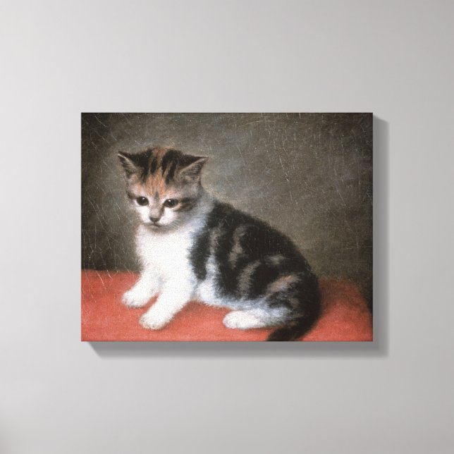 Toile George Stubbs | Miss Ann White's Kitten, 1790 (Recto)