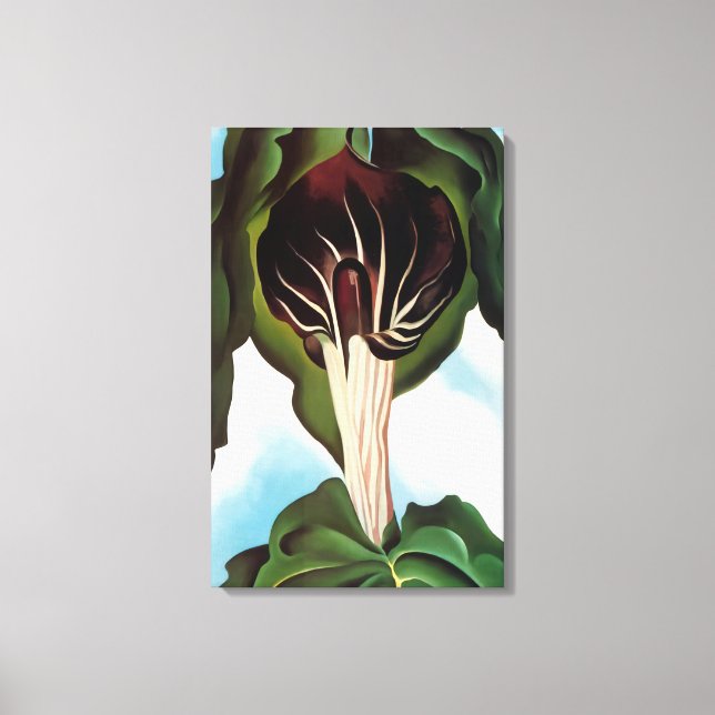 Toile Georgia O'Keeffe - Jack-in-the-Pulpit (Recto)