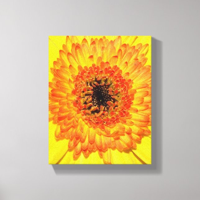 Toile Gerber Daisy (Recto)