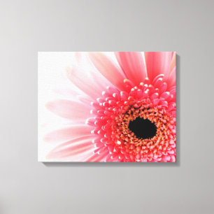 Toile Gerbera Daisy