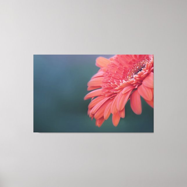 Toile Gerbera fleur rouge (Recto)