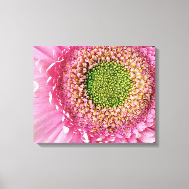 Toile Gerbera rose (Recto)