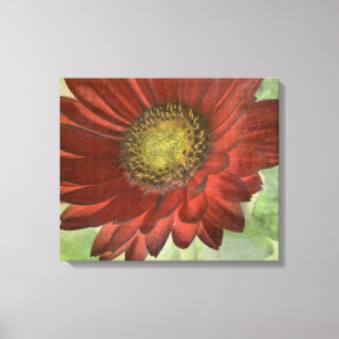 Toile Gerbera rouge