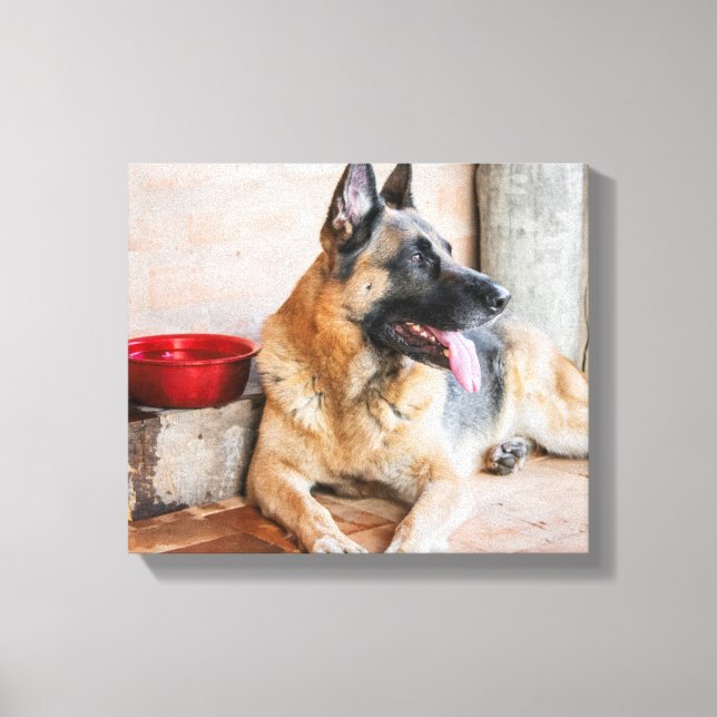 Toile German Shepherd Resting (Recto)