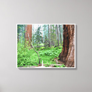 Toile Giant Sequoias in Grant Grove, CA