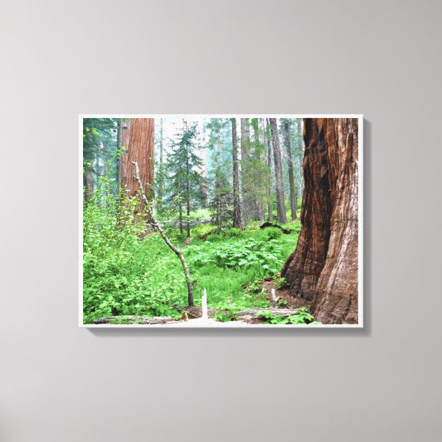 Toile Giant Sequoias in Grant Grove, CA (Recto)