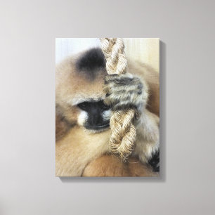 TOILE GIBBON