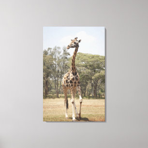 Toile Girafe 3