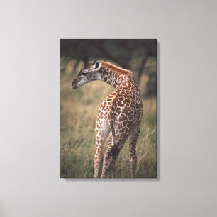 Toile Girafe 3 de Massai