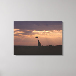 Toile Girafe de Massai